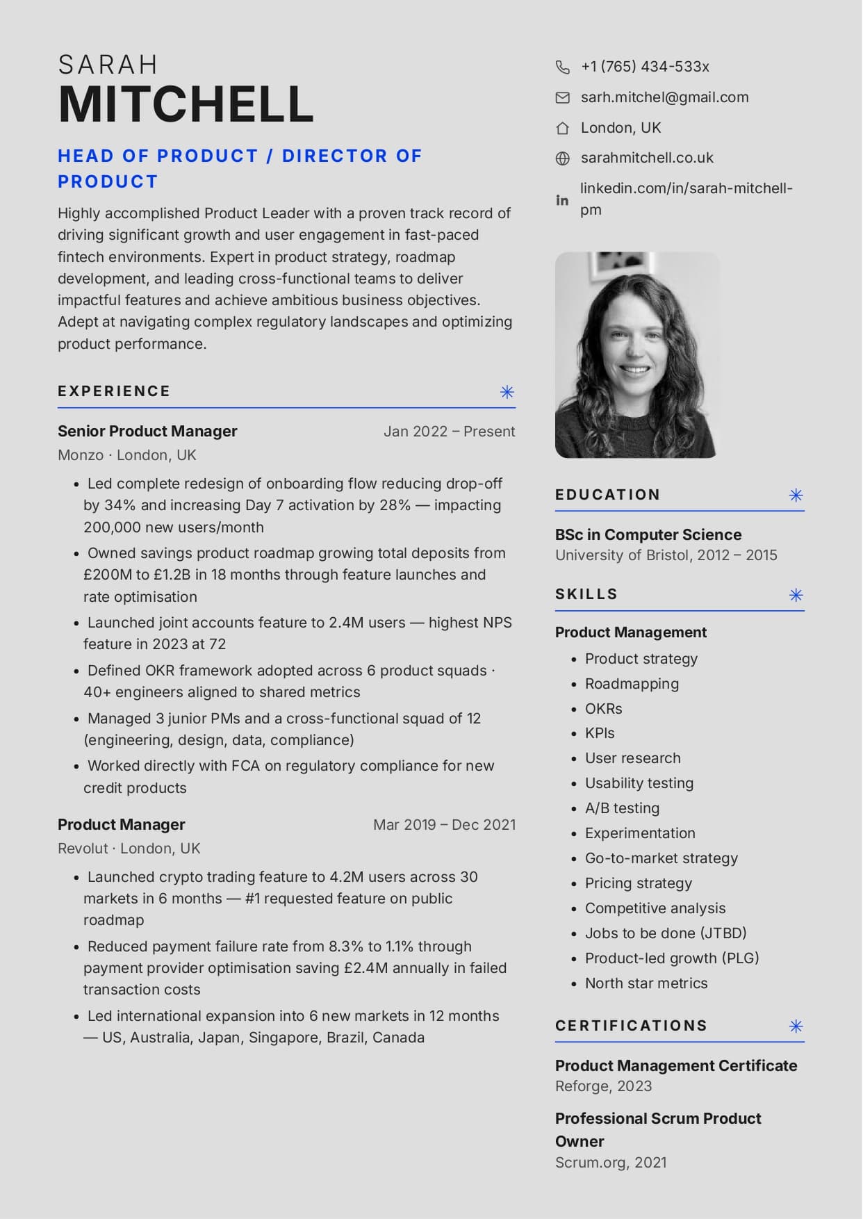 Portrait resume template Portrait resume template